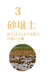 ゆめぴりかとななつぼしが選ばれる理由３｜お米