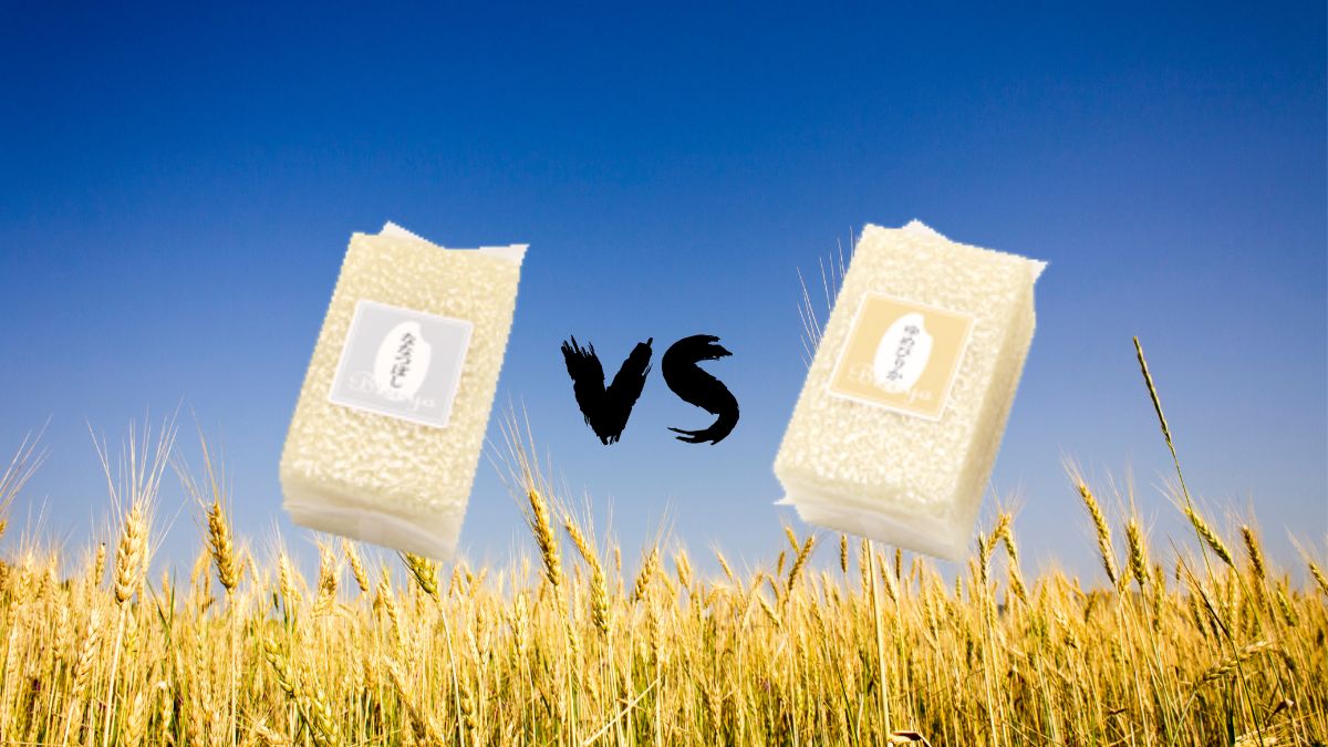 ななつぼし vs ゆめぴりか:美味しさと特長を徹底比較 ななつぼし vs ゆめぴりか:美味しさと特長を徹底比較